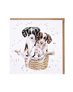 Wrendale Designs 'Paddy, Percy and Pedro' Cow Card